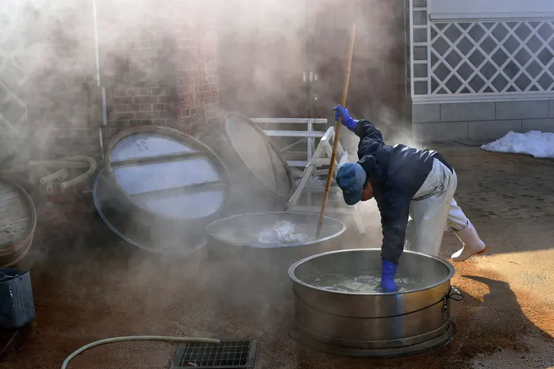 Sake making at a Saijo brewery, Higashihiroshima